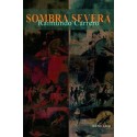 SOMBRA SEVERA - RAIMUNDO CARRERO