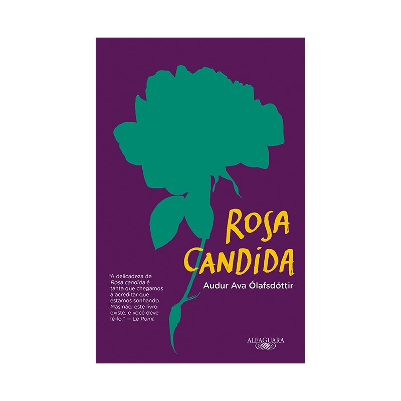 ROSA CANDIDA