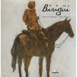 Birigüi - Meirelles, Maurício (Autor)