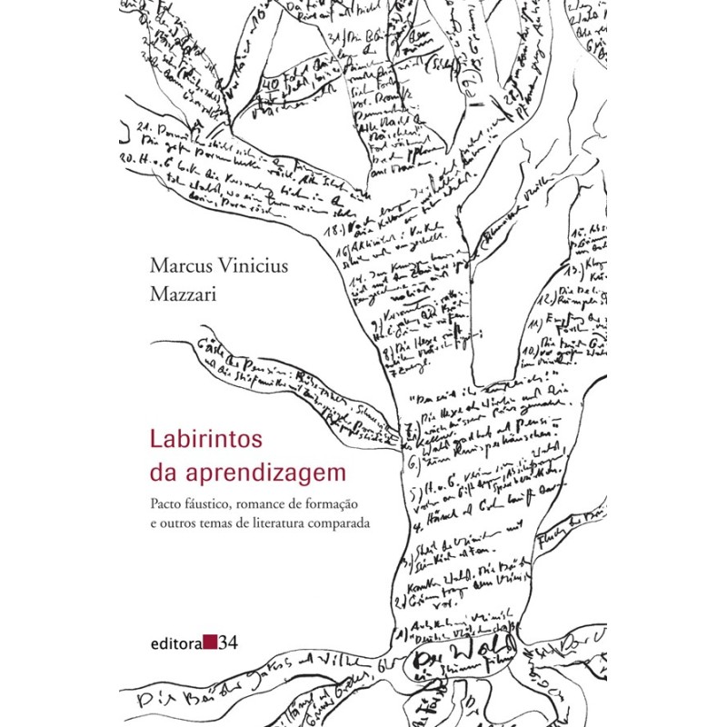 Labirintos da aprendizagem - Mazzari, Marcus Vinicius (Autor)