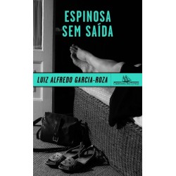 Espinosa sem saída - Luiz Alfredo Garcia-roza