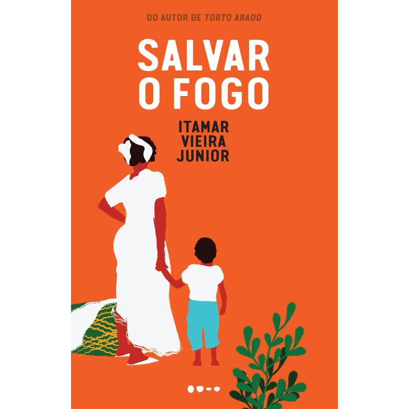 Salvar o fogo - 2a EDIÇÃO BROCHURA - Vieira Junior, Itamar (Autor)
