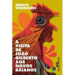 A visita de João Gilberto aos Novos Baianos - Sérgio Rodrigues