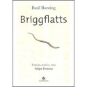 Briggflatts - Basil Bunting.